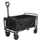 Folding Beach Wagon Trolley