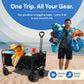 Folding Beach Wagon Trolley