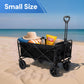 Folding Beach Wagon Trolley